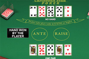 Mesa de juego de cartas con naipes descubiertos, resaltando combinaciones y texto que indica HAND WON BY THE PLAYER