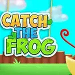 Imagen de un juego llamado Catch The Frog con una rana verde caricaturesca sobre un fondo de cielo azul y hierba verde