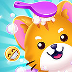 My Pet Care Salon te invita a dirigir tu propio spa para animales!